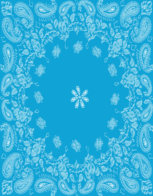 Lynn's Turq Bandana Capri