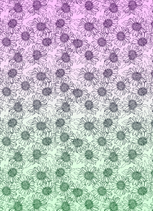 Sunflower Ombre Capri